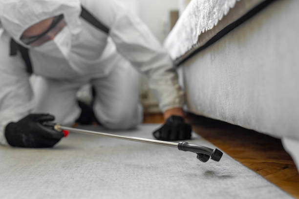 Professional Cockroach Control technician working in Russell, PA